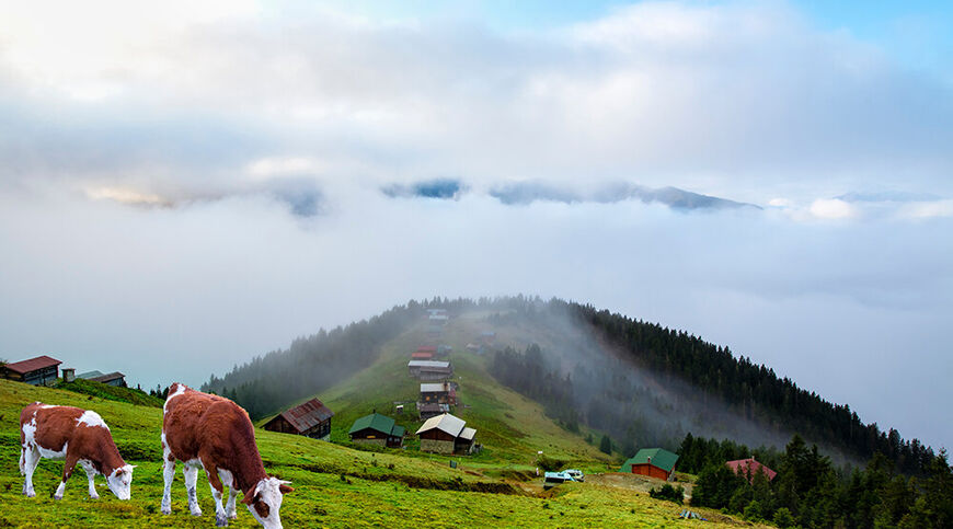 Uçaklı Karadeniz Turu 3 Gece Konaklamalı