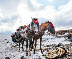 Uçaklı Van Kars Erzurum Turu |3 Gece Otel Konaklamalı | İstanbul Çıkışlı