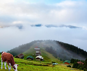  Karadeniz Turu 3 Gece Konaklamalı